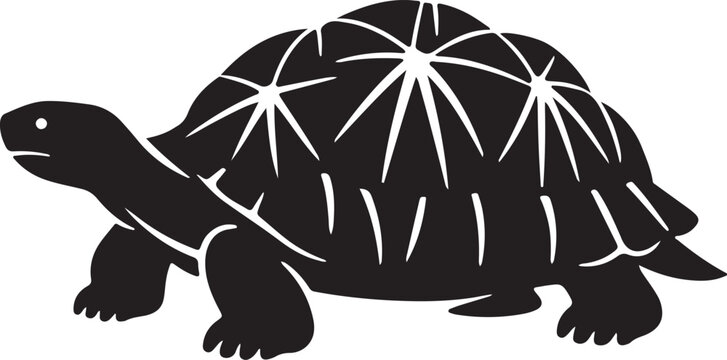 a tortois vector sillhutte