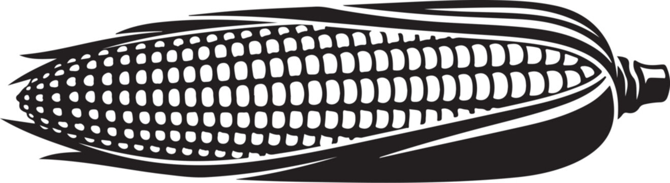 Black and white of an ear of corn food agriculture