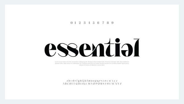 Classic serif font alphabet letters typographic design. Minimal Fashion Designs. Typography modern serif fonts regular decorative vintage concept. vector illustration