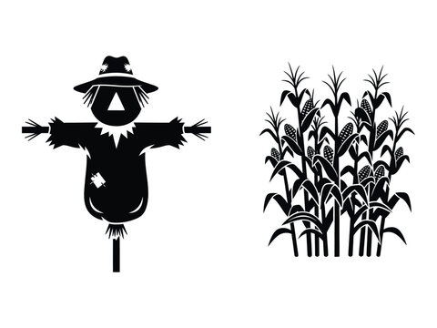 Black silhouette of a scarecrow standing guard beside a field of tall cornstalks