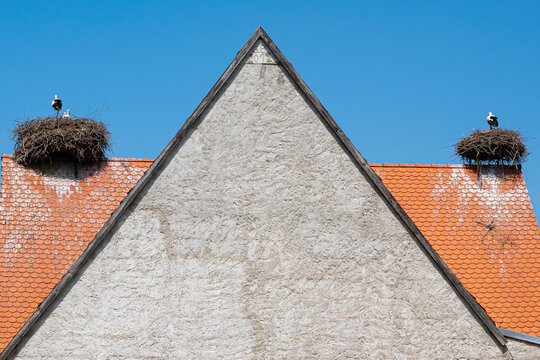 Zwei Storchennester auf einem Dach im Ort Uehlfeld in welchem sich etwa 50 Storchennester befinden. Der Aischgrund mit seinen vielen Teichen bietet den St&ouml;rchen ideale Nahrungsbedingungen