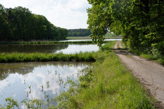 Unz&auml;hlige Teiche pr&auml;gen das Landschaftsbild im Aischgrund - Die Teichwirtschaft und vor allem die Karpfenzucht ist ein wichtiger Wirtschaftsfaktor