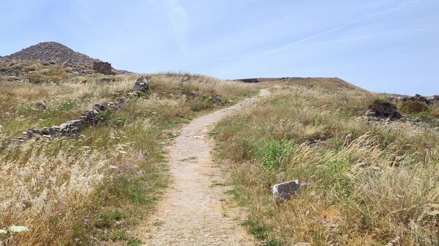 View of the Sacred Way on the island of Delos, Greece, with Mount Kynthos rising in the background and spring wildflowers in bloom. 