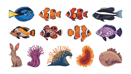 Colorful Underwater Wonders: A vibrant collection showcases an array of aquatic creatures and coral, each exquisitely detailed and brimming with life and color.  © Nirob