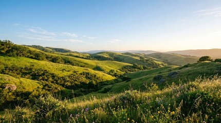 Fototapeta premium Serene Green Hills and Rolling Landscape with Blue Sky