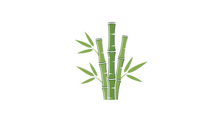 Fototapeta premium Bamboo stalks with green leaves growing 1.