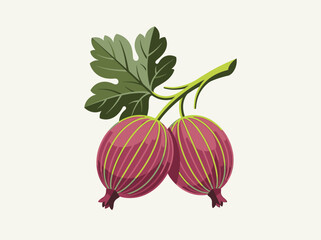 Botanical Illustration of Two Ripe Purple Gooseberries with Green Leaves Isolated on White Background © Fauzi