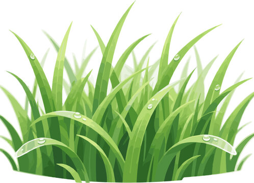 fresh green grass