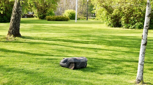 The lawnmower robot mows the grass in the garden.