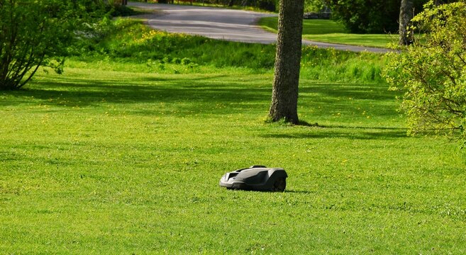 The lawnmower robot mows the grass in the garden.