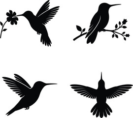 Fototapeta premium 4 Hummingbird Silhouettes Black Vector Set – Hovering Perched Flying Forward Top View Poses Isolated White Background