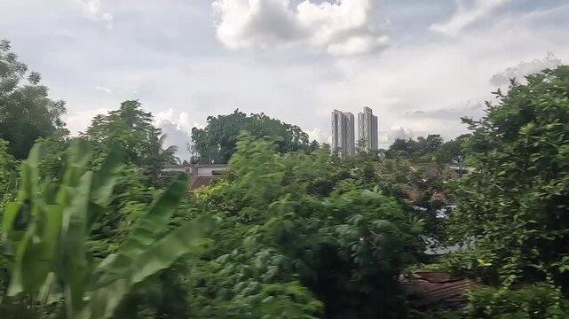 Jungle at Malay Peninsula, Malaysia