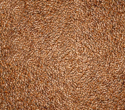 Dry Raw Unpeeled Rice Grains Texture Background