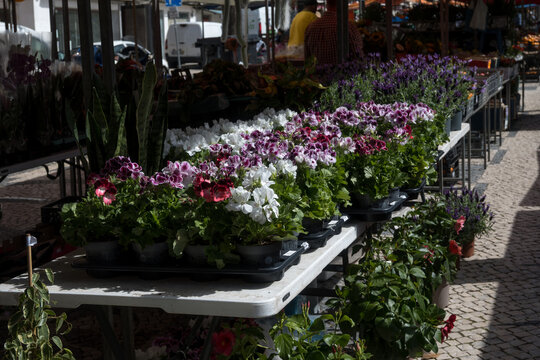 mercado de caldas da rainha