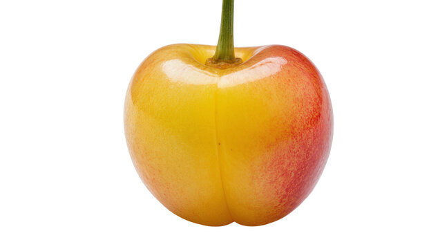 Yellow and red Rainier cherry with green stem, isolated on transparent background