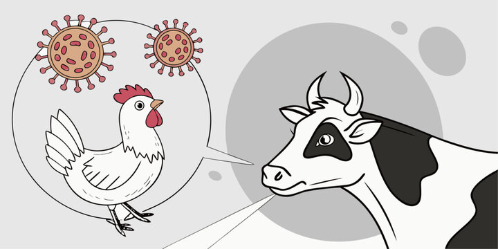 HPAI outbreak among dairy cows raises concerns about zoonotic transmission and agricultural biosecurity worldwide.