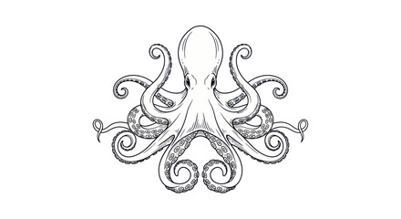 An artistic illustration of an octopus in black and white. © Sucang