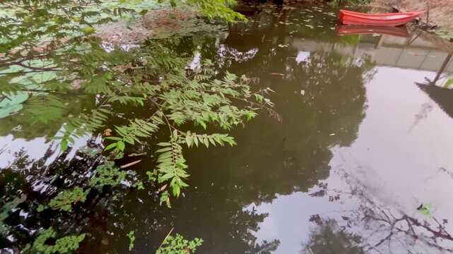 Calm garden pond with peaceful natural environment