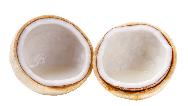Two halves of a fresh young coconut with clear water, isolated on transparent background