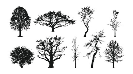 Obraz premium Collection of various tree silhouettes on isolated white background for design