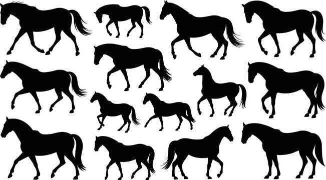 Black Horse Silhouette Collection with Walking Trotting and Galloping Pose Animal Wildlife Shape Vector Set