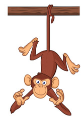 Fototapeta premium Cartoon funny brown monkey chimpanzee hanging from the wood branch on his tail. Vector illustration isolated on white
