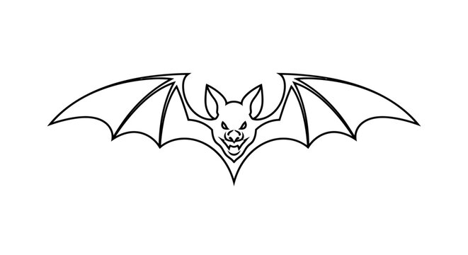 Bat flying mammal animal creature.