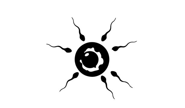Human fertilization process silhouette showing sperm cells swimming toward the ovum