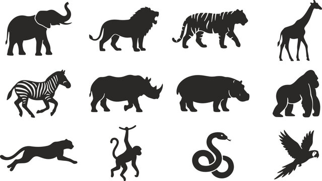 Black and white african animals silhouette set