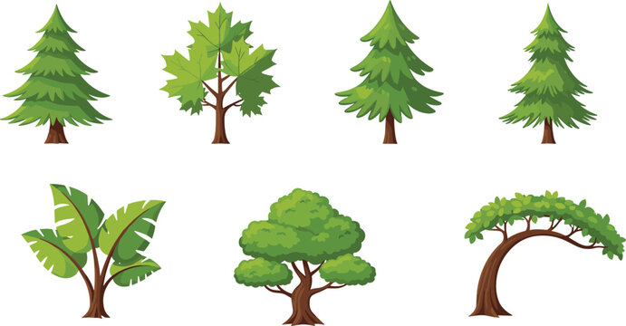 Cartoon Tree Vector Collection Featuring Pine Maple Tropical and Bonsai Style Trees for Nature Landscape Design