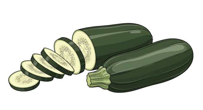 Fresh zucchini, whole and sliced