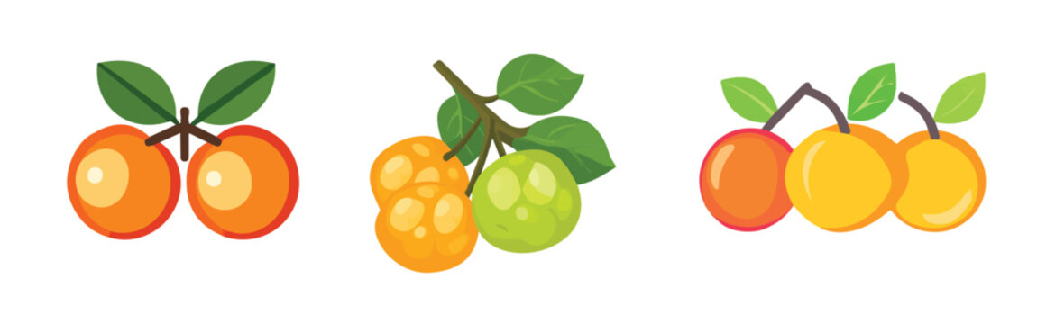 Langsat fruit, A Minimalistic 2D flat icon featuring the langsat fruit group, clean vector design, simple illustration style, isolated on a white background, modern element in vector and EPS format.