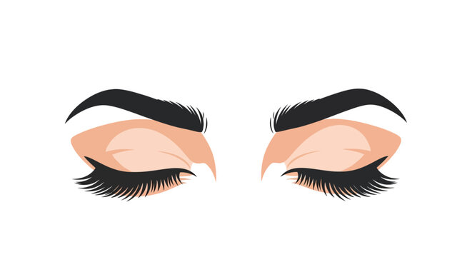 Close-up illustration of woman's eyes with long eyelashes and thick eyebrows