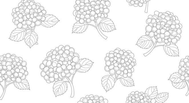 Hand-drawn hydrangea floral fabric pattern vector seamless background for textile and wallpaper