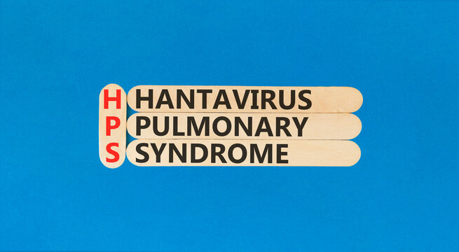 HPS hantavirus pulmonary syndrome symbol. Concept words HPS hantavirus pulmonary syndrome on beautiful wooden sticks. Beautiful blue background. Medical HPS Hantavirus concept. Copy space.