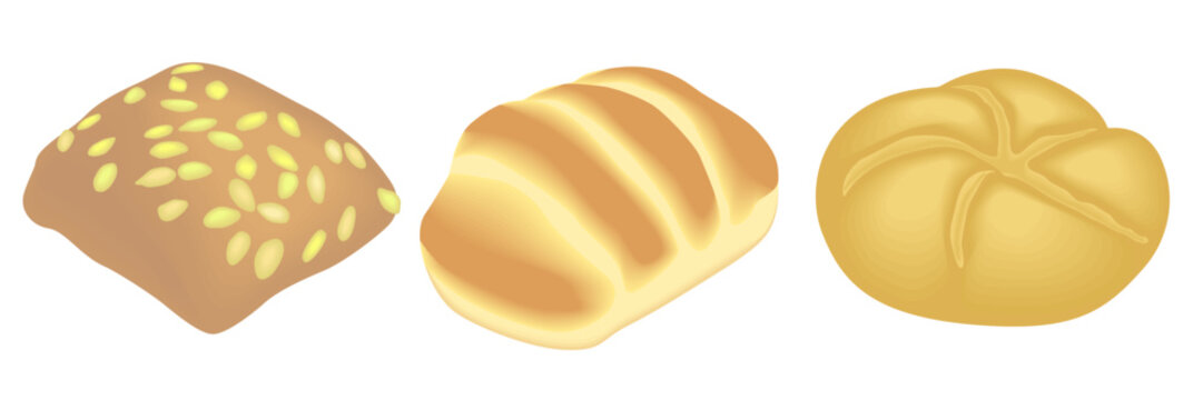Bread roll with pumpkin seeds, brioche bun and kaiser roll - hand drawn isometric vector illustration.