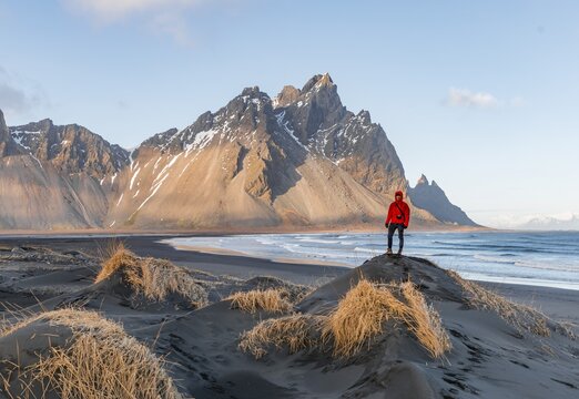 Man in red jacket standing on dunes with dry grass, black lava beach, sandy beach, mountains Klifatindur, Eystrahorn and Kambhorn, headland Stokksnes, mountain range Klifatindur, Austurland, East Iceland, Iceland