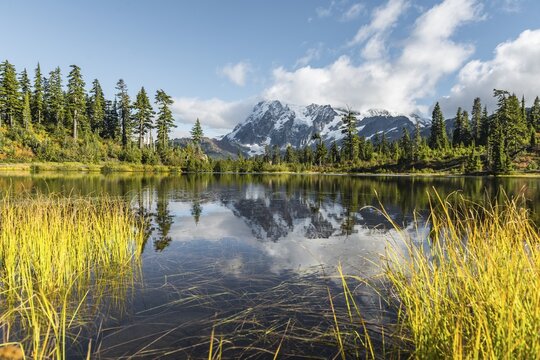 Mount Mt. Shuksan with reflection in Picture Lake, forest in front of glacier with snow, ice and rocks, Mount Baker-Snoqualmie National Forest, Washington, USA