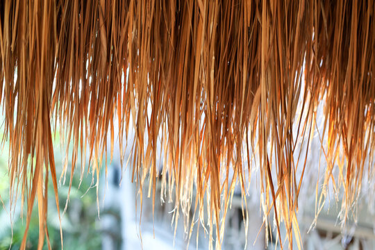 Close-up of tropical palm leaf roof texture with warm natural light and rustic beach hut atmosphere. Organic thatched roofing detail with coastal tropical aesthetic.