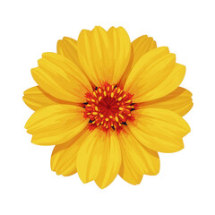 Obraz premium Vibrant Yellow Flower Bloom Design Element Isolated on Transparent Background
