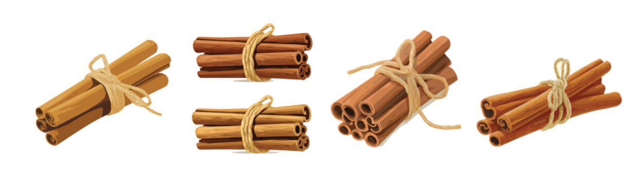 Collection of Realistic cinnamon sticks tied with string illustrations set, Clean vector set ideal for packaging, label, and product design, Vector illustration of vector design
