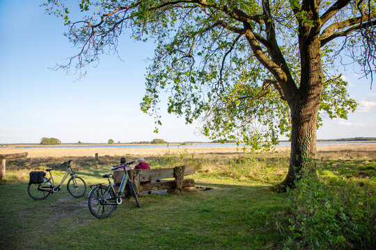 couple on bicycle tour rests on dwingelder veld in dutch province of drenthe in spring