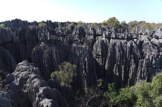 view of Tsingy de Bemaraha Strict Nature Reserve