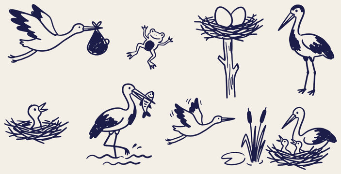 Set of hand-drawn storks, nests, and frog illustrations, depicting nature and wildlife scenes.