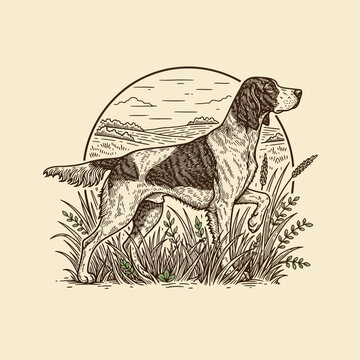 Elegant English Setter Hunting Dog in Field Engraving Style.