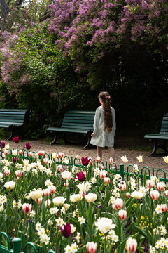 Back view of a young girl with loose, long wavy hair wearing green checkered dress walking in a spring park. Beautiful tulips blooming on a foreground. Riegrovy Sady, Prague.