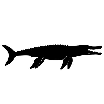 Mosasaurus Silhouette &ndash; Flat Vector Plotter Cut File