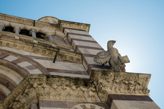 Grosseto cathedral detail