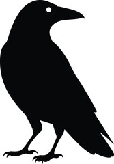 Fototapeta premium Black silhouette of a raven standing 