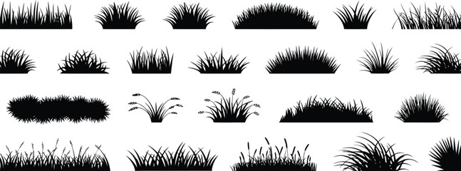 Collection of black grass silhouettes  © MDSHAHIN